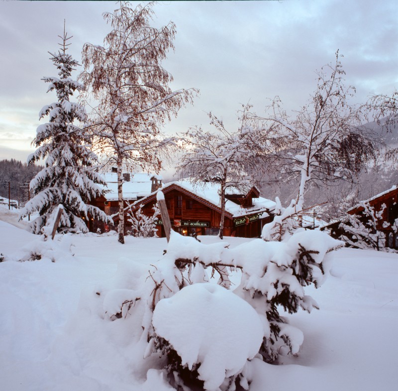 Winter Alps
Original: Film Velvia-50, 6x6cm
Scan: Imacon 6800x6800 pix.

